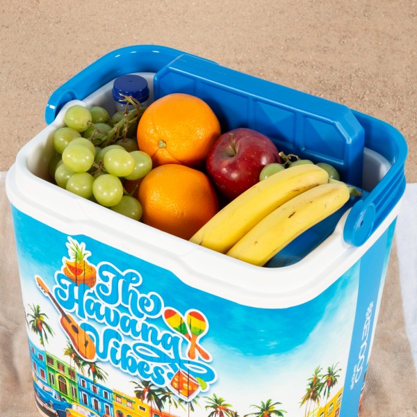 Aktive Cooler portátil rígido de 24 L | Distria