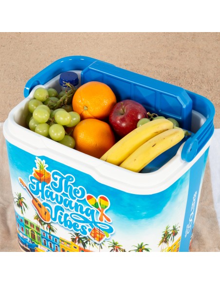 Aktive Cooler portátil rígido de 24 L | Distria