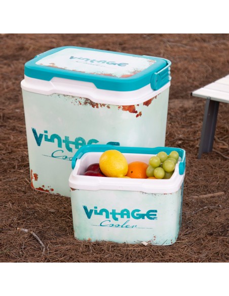 Aktive Cooler portátil rígido de 5 L estilo clássico | Distria