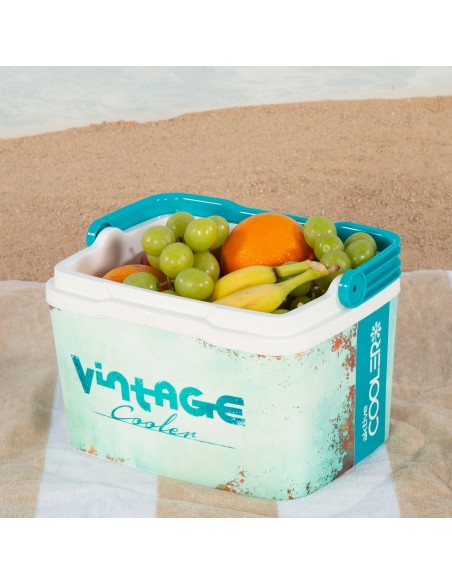 Aktive Cooler portátil rígido de 5 L estilo clássico | Distria