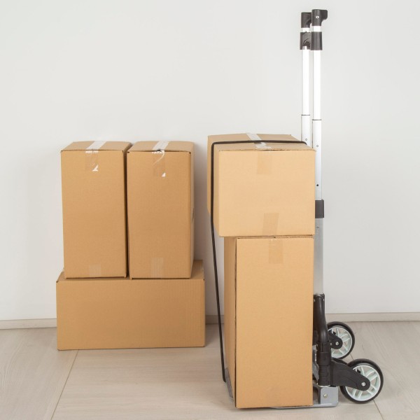 Aktive carrinho dobrável extensível em alumínio 63/100 cm | Distria