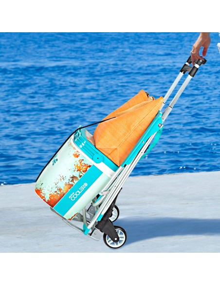 Aktive carrinho dobrável extensível em alumínio 63/100 cm | Distria