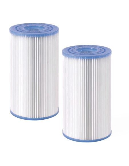 Pacote de 2 cartuchos de filtro tipo S2 para novos spas INTEX | Distria