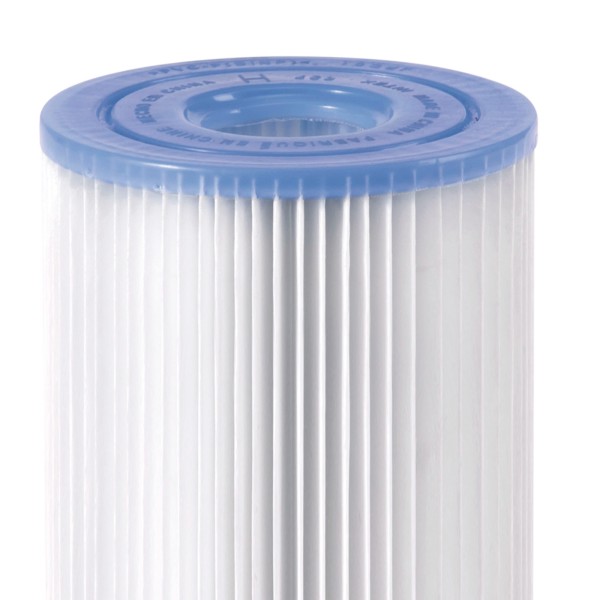 Pacote de 2 cartuchos de filtro tipo S2 para novos spas INTEX | Distria