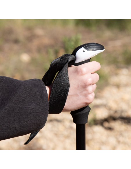 Bastão de trekking dobrável 107-125 cm Aktive | Distria