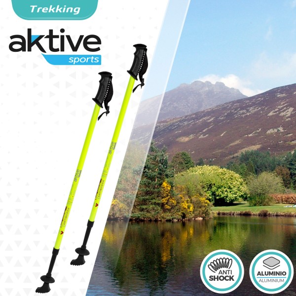 Conjunto de dois bastões de trekking extensíveis | Distria