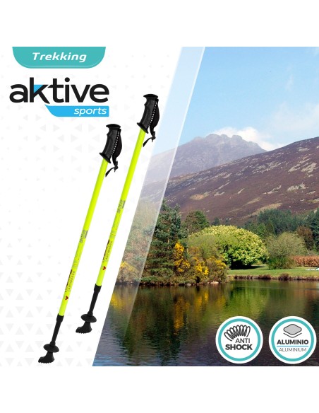 Conjunto de dois bastões de trekking extensíveis | Distria