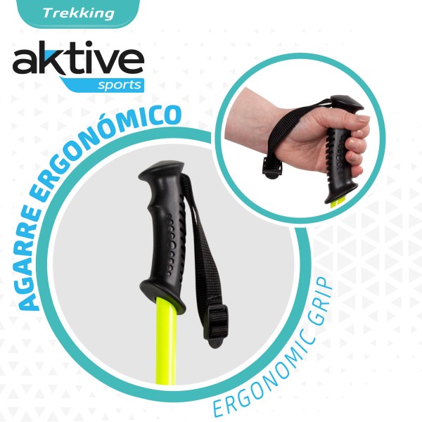 Conjunto de dois bastões de trekking extensíveis | Distria