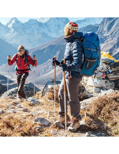 Conjunto de dois bastões de trekking extensíveis | Distria