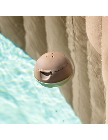 Dispensador de químicos INTEX para Spa insuflável | DISTRIA