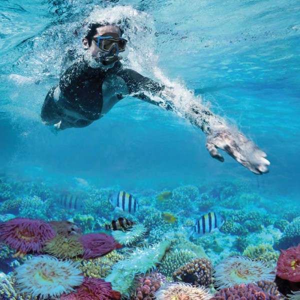 Kit para mergulho INTEX - Kit para snorkel | Distria