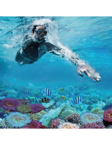 Kit para mergulho INTEX - Kit para snorkel | Distria